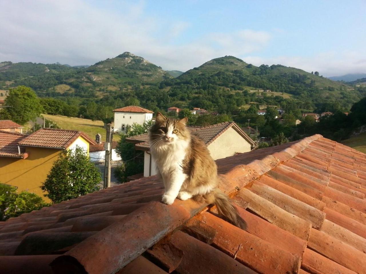 Posada El Pareon Sirviella Kültér fotó